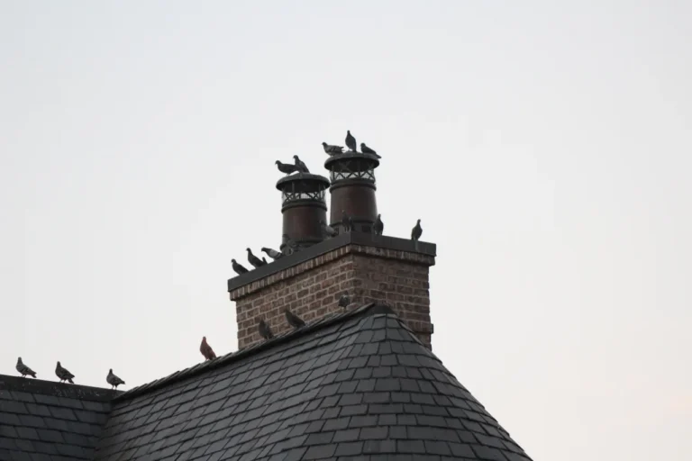 Brick chimney on a slate roof